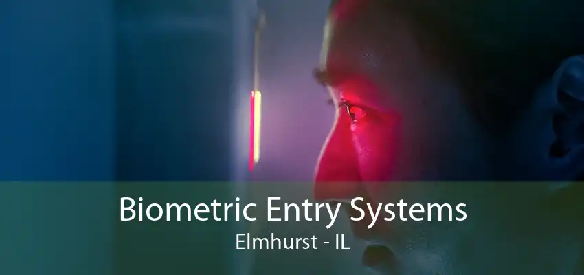 Biometric Entry Systems Elmhurst - IL